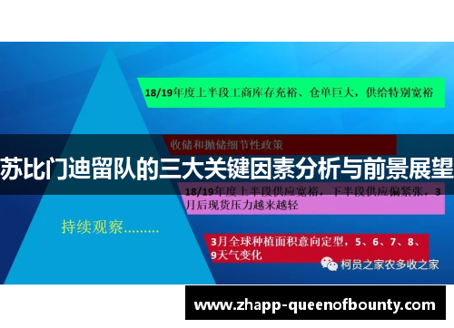 苏比门迪留队的三大关键因素分析与前景展望