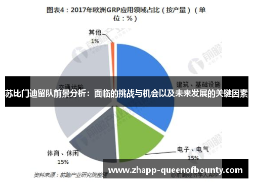 苏比门迪留队前景分析：面临的挑战与机会以及未来发展的关键因素