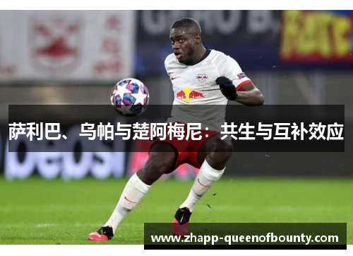 萨利巴、乌帕与楚阿梅尼：共生与互补效应
